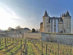 149 DOMAINE DE BLAIRE ET ENVIRONS MAINE ET LOIRE 2016 N0_000043